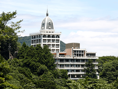 彩向陽