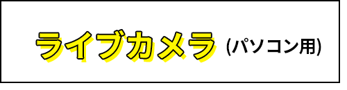 ライブカメラ（パソコン用）