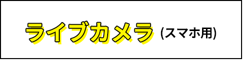 ライブカメラ 国道477号（宿野交差点）