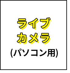 ライブカメラ（パソコン用）