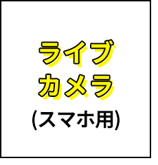 ライブカメラ（スマホ用）
